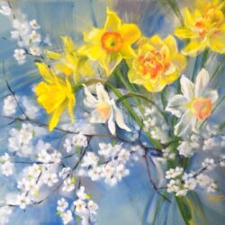 Bloom and Branches
