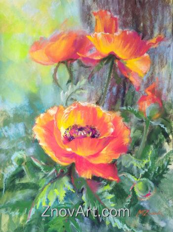 Sun in the poppies