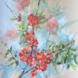 Quince in Bloom