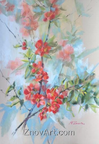 Quince in Bloom