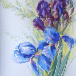 Irises