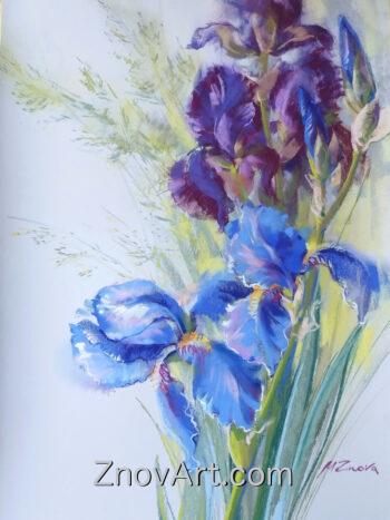 Irises