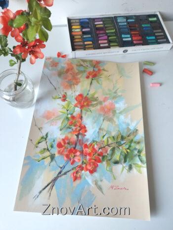 Quince in Bloom - Image 3