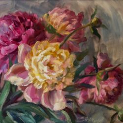 Peonies