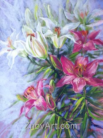 Royal lilies