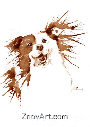 Furry Frenzy