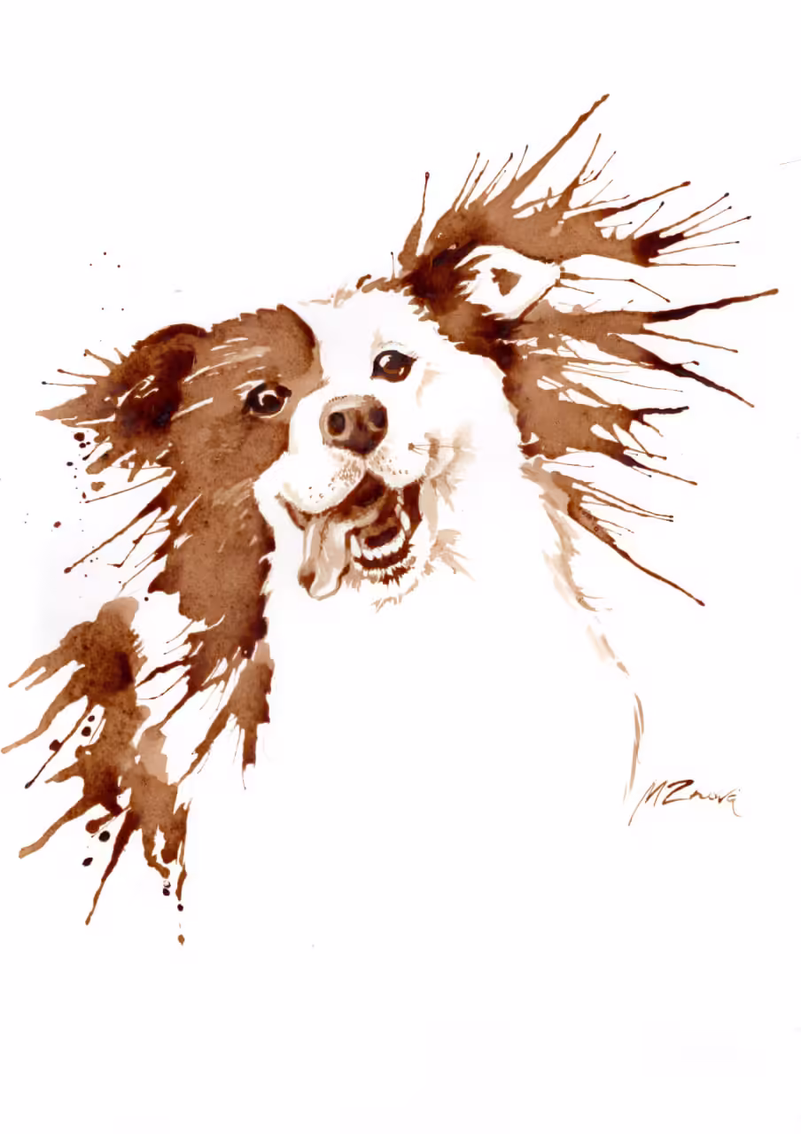 Furry Frenzy