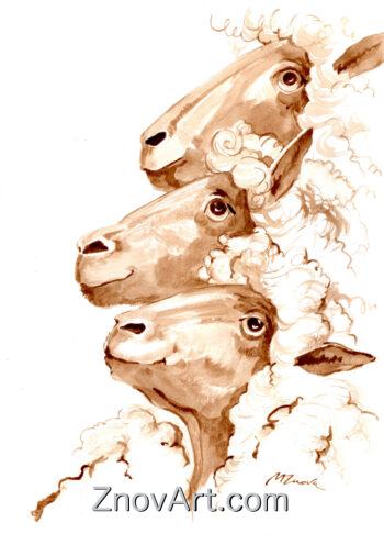 Trio of Tranquility