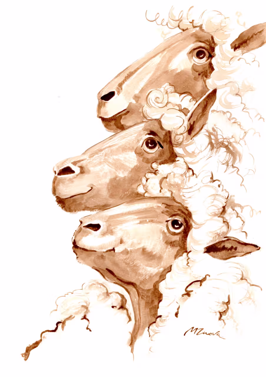 Trio of Tranquility