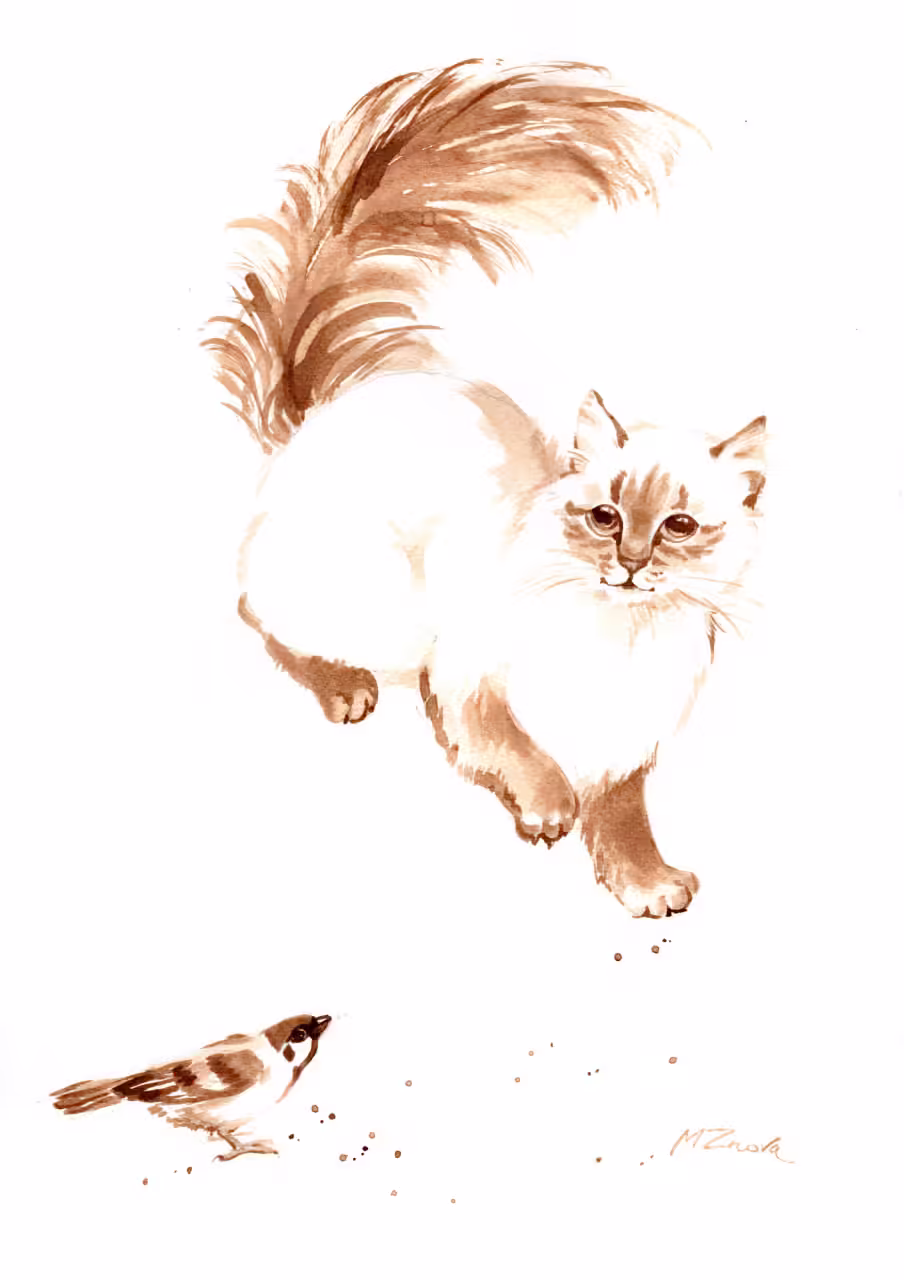 Whiskers and Wings