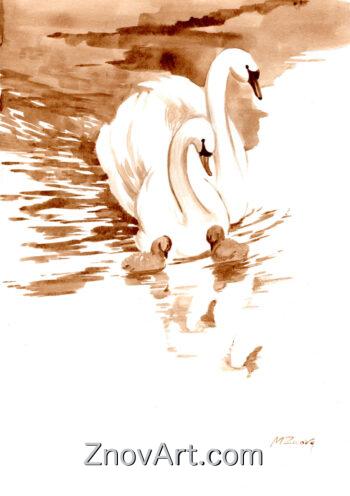 A Swan’s Family