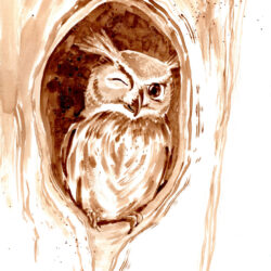 Owl