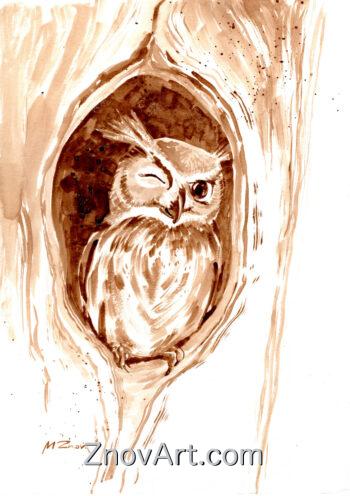 Owl