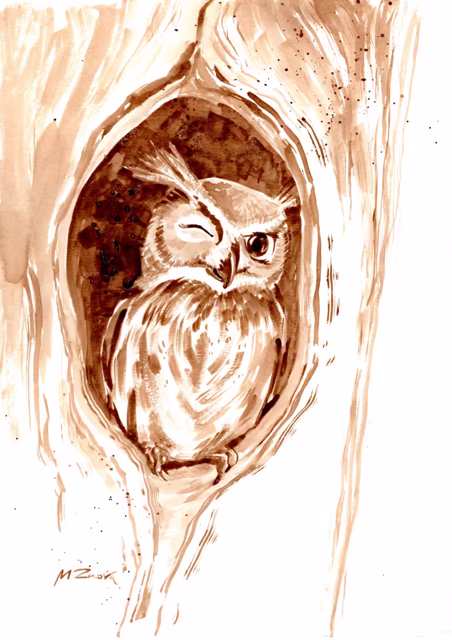 Owl