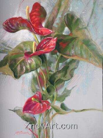 Anthurium