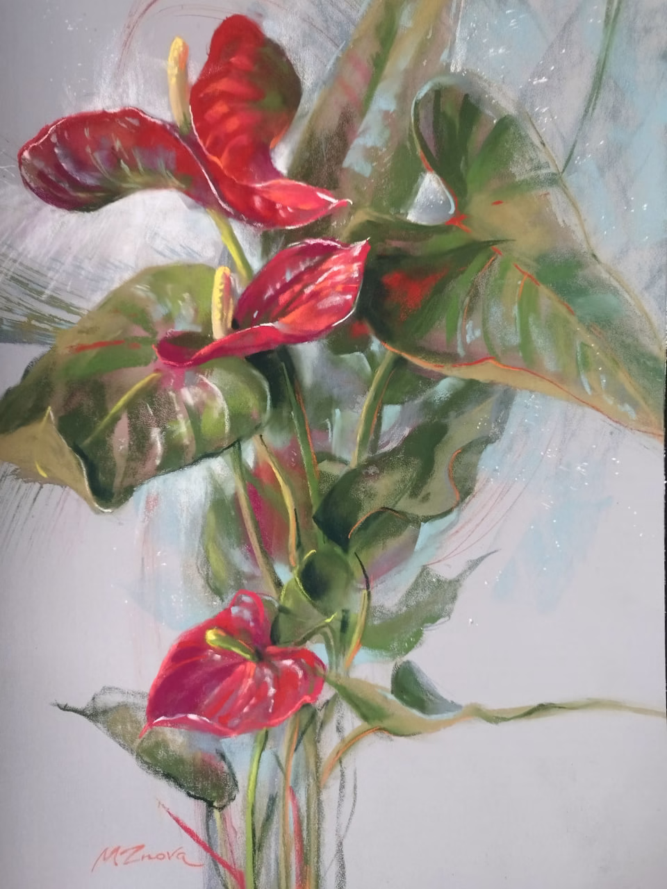 Anthurium