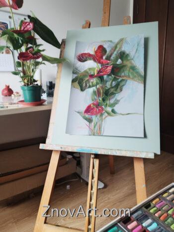Anthurium - Image 2