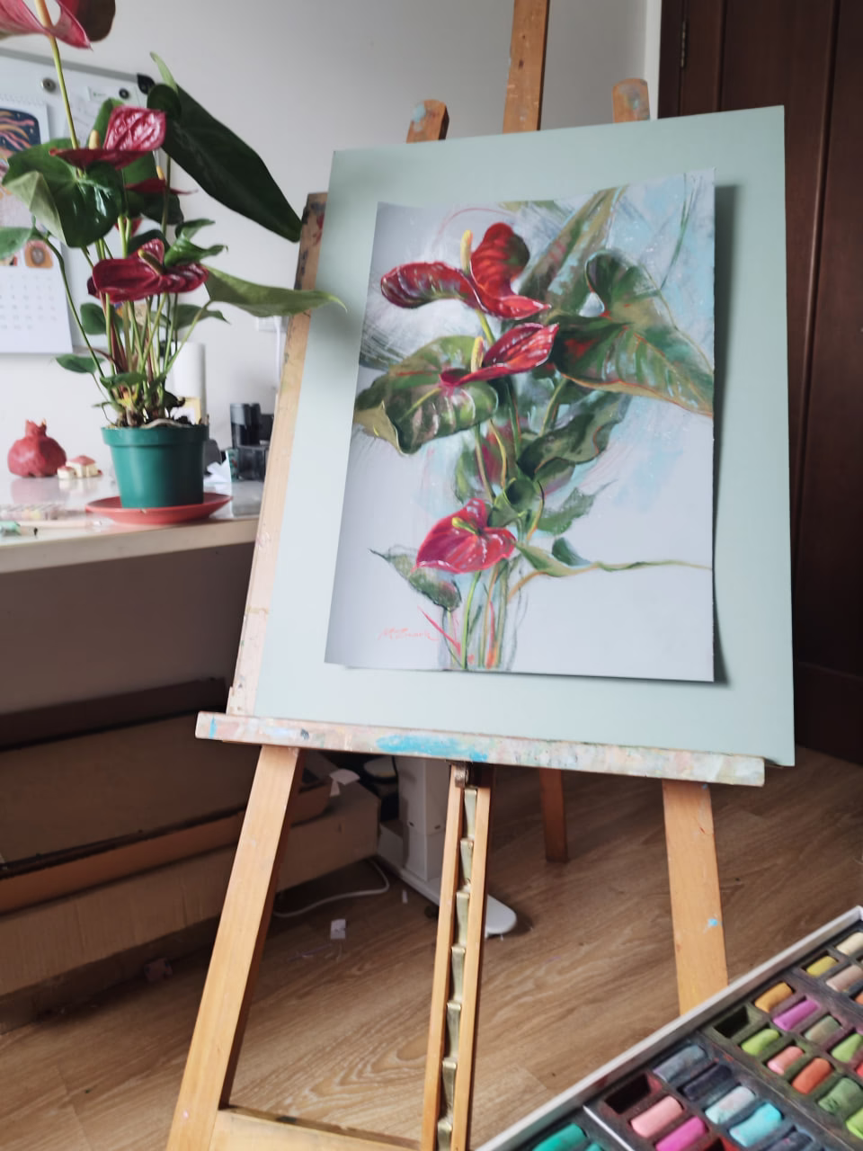 Anthurium - Image 2