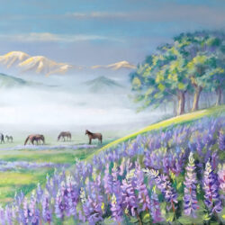 Fog over an alpine meadow