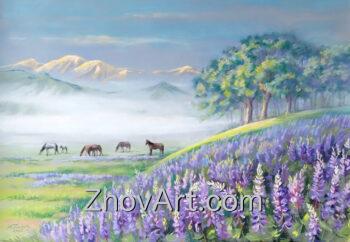Fog over an alpine meadow