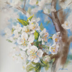 Spring blossom