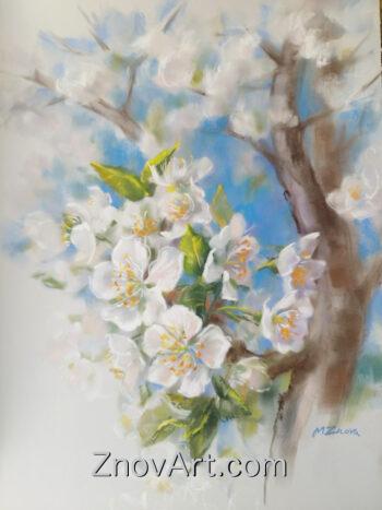 Spring blossom