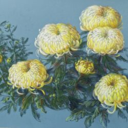 Yellow chrysanthemum painting, original soft pastel on Pastelmat by Maria Znova